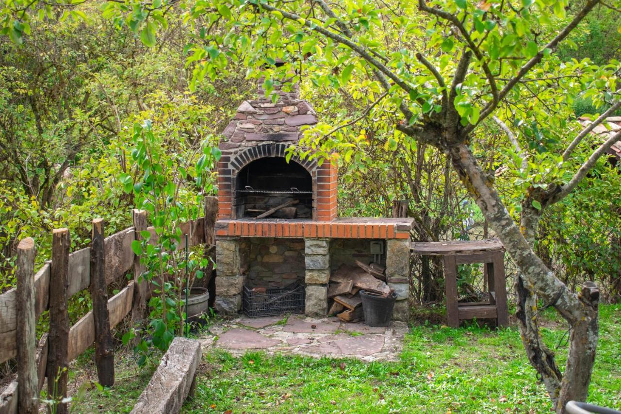 Casa Monaut, Acogedores A Pies De La Selva De Irati * Saragueta