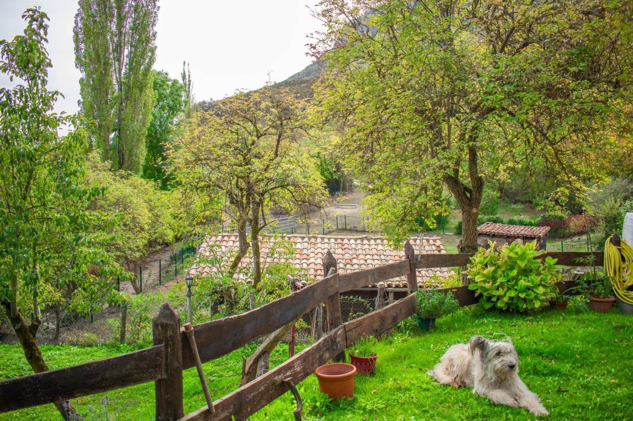 Appartement Casa Monaut, Acogedores A Pies De La Selva De Irati